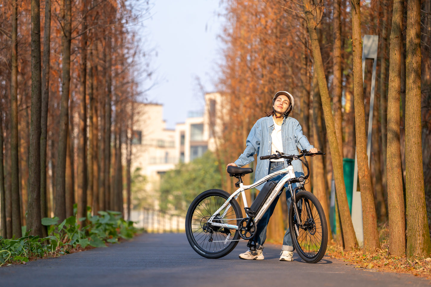 5TH WHEEL DISCOVER Commuter Electric Bike | 700W Peak Motor & 28 Mile Range